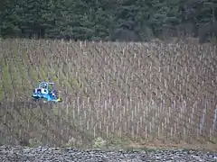 Enjambeur dans les vignes effectuant une pré-taille.