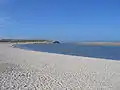 Les dunes de l'île de Texel.
