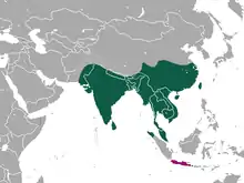 Aire de répartition de la Civette de l'Inde