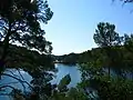 Petit Lac de Mljet