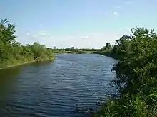 Vue d'une rivière bordée d'arbres