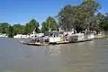 Le ferry qui traverse le Murray à Mannum