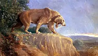 Smilodon, « tigre à dents de sabre »