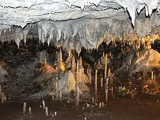 Stalactites et stalagmites (grotte Snejanka, Bulgarie).