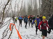 Des coureurs sur un sentier forestier recouvert de neige, en hiver.