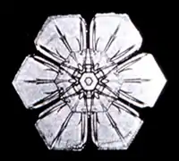 Flocon de neige, de symétrie hexagonale. Il s'est formé sans contrainte spatiale pendant sa croissance. Il est donc dit automorphe : sans contact avec un autre flocon, il a développé un cristal de forme hexagonale et maclée.