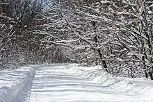 Route de campagne recouverte par la neige.