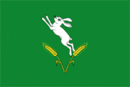 Drapeau de Șoldănești