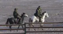 Trois soldats en tenue camouflage, sur des chevaux.