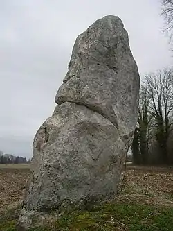 Image illustrative de l’article Pierre-au-Coq (Soligny-les-Étangs)