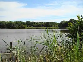 Un étang de la Sologne entre Lassay-sur-Croisne et Pruniers-en-Sologne, dans le sud-est.