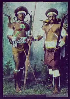 Guerriers des îles Solomon, 1895.