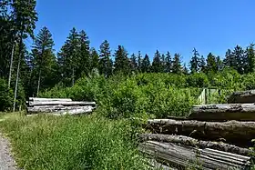 Vue du sommet de la montagne du Château.