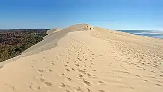 Au sommet de la dune, avec toutes les traces de pas. Juillet 2022.