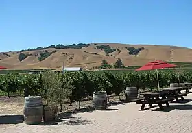 Un des vignobles de la Sonoma Valley (Californie).