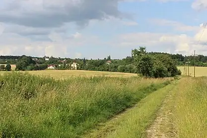 Route à Sonov.