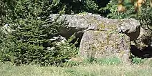 Dolmen et polissoir de la Ferme Brûlée.