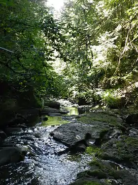 Vue des gorges de l'Alagnon.