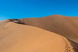 Dunes typiques du parc national de Namib-Naukluft.
