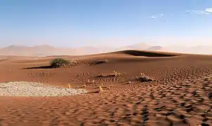 Ondulations dans les dunes entre Sossusvlei et Dead Vleidans le parc national de Namib-Naukluft. Mai 2019.