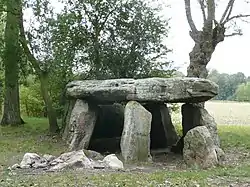 Image illustrative de l’article Dolmen de la Pierre Cesée