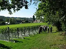 Les vignes de La Vinéria et le village de Soudaine-Lavinadière.