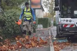 Souffleur électrique.