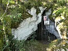 La grotte où hivernent les chauves-souris.