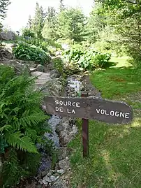 Source de la Vologne au Jardin d'altitude du Haut Chitelet.