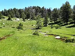 La source de l'Aude, quelques centaines de mètres en amont du lac d'Aude.