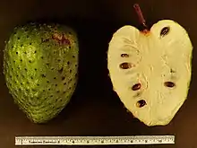 Corossol (Annona muricata).