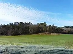 La forêt du Landais à Sourzac.