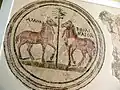 Mosaïque circulaire représentant deux chevaux qui sont nommés, Amor et Dominator