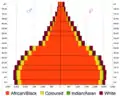 Pyramide des âges par groupe ethnique en 2011