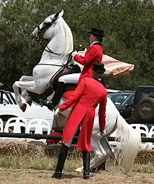 Une femme habillée en rouge et montée sur un cheval gris très clair fait se cabrer son cheval; un homme également en rouge se tient à ses côtés à pieds, une chambrière à la main.