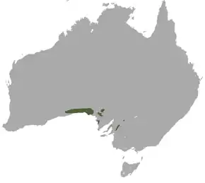 Description de l'image Southern Hairy-nosed Wombat area.png.