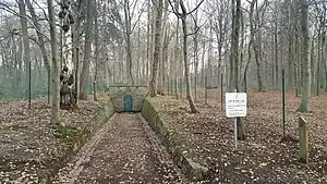 dans une forêt, un chemin encaissé et entouré de berges en pierre, mène à un muret dans lequel est percée une porte verte