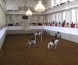 Étalons Lipizzans dans le manège d'hiver (Winterreitschule) de l’École espagnole