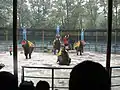 Spectacle d'éléphant d'Asie au zoo de Shanghai.