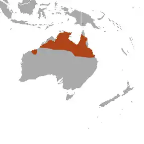 Description de l'image Spectacled Hare Wallaby area.png.