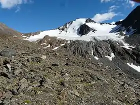 Vue du Hinteren Spiegelkogel dominant le Spiegelferner.