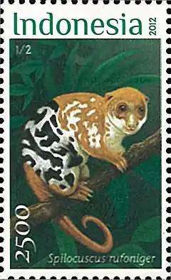 Description de l'image Spilocuscus rufoniger 2012 stamp of Indonesia.jpg.