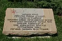 Plaque de Miloš Miša Dudić.