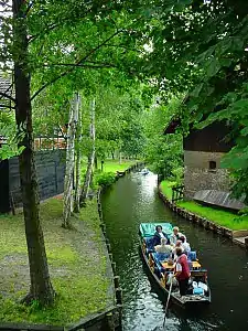 Promenade en barque à travers la forêt