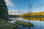 Lac Bisajärvi un soir de printemps en mai 2021.