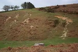 Un terrain en pente douce avec des entrées de terriers de lapins