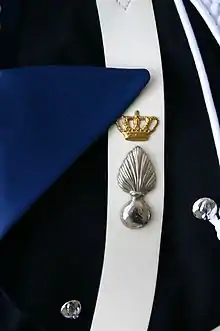 Insigne sur l'uniforme d'un garde de la Maréchaussée royale néerlandaise.