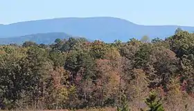 Vue de Springer Mountain depuis East Ellijay.