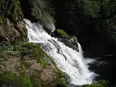 Les sources du fleuve Llobregat à proximité de Castellar de n'Hug