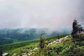 Vue du flanc ouest du Spruce Knob.